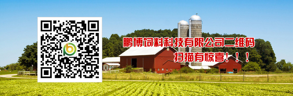 鵬博二維碼，掃描有驚喜！